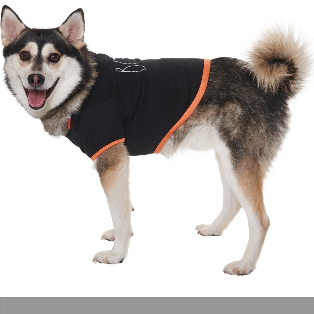 Rae Dunn “Boo” Dog Hoodie